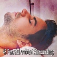 48 Peaceful Ambient Surroundings