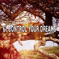 61 Control Your Dreams