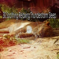 30 Soothing Relaxing Thunderstorm Sleep