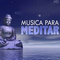 Música Tranquila Para La Meditación Y La Relajación