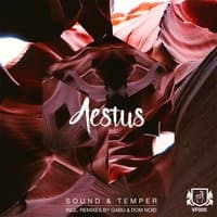 Aestus