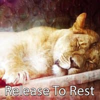 Release To Rest