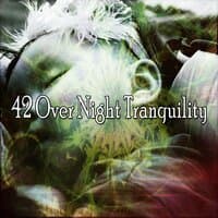 42 Over Night Tranquility