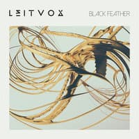 Black Feather