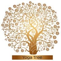 Yoga Tree – Calming Yoga Music to Create Your Perfect Yoga Space, Open Your Mind and Balance Your Body