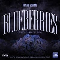 Blueberries