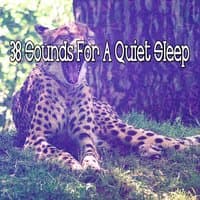 38 Sounds For A Quiet Sleep