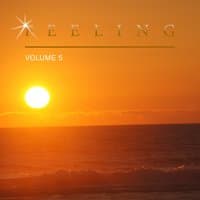 Feeling, Vol. 5