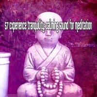 57 Experience Tranquility Calming Sound For Meditation