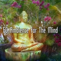 60 Ambience For The Mind