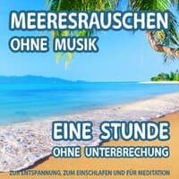 Meeresrauschen (ohne Musik) - Eine Stunde ohne Unterbrechung - zur Entspannung, zum Einschlafen und für Meditation