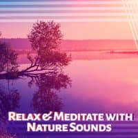 Relax & Meditate with Nature Sounds – Music to Calm Down, Relaxing Nature Music, Sea Sounds, Chilled New Age