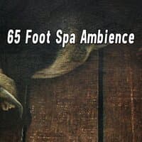 65 Foot Spa Ambience