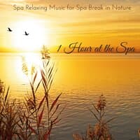 1 Hour at the Spa - Spa Relaxing Music for Spa Break in Nature