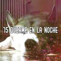 75 Duerme En La Noche