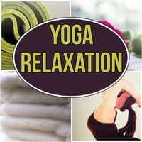 Yoga Relaxation - Music and Pure Nature Sounds for Stress Relief, Harmony of Senses, Relaxing Background Music