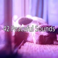 42 Peaceful Sounds