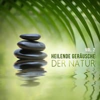 Heilende Geräusche der Natur Vol.2 - Tiefenentspannung Atmosphäre für Wellness, Autogenes Training, Meditieren, Beruhigen