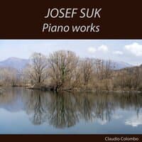 Josef Suk: Piano Works