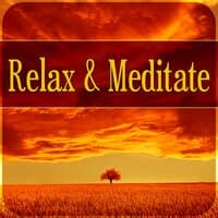 Relax & Meditate - White Noises for Deep Sleep, Spiritual Reflections, Relaxation and Nature Sounds, Relaxing Moments