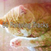 66 Relaxing Tracks