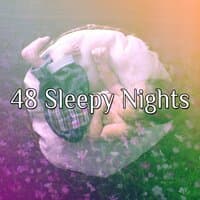 48 Sleepy Nights