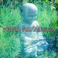 77 ANatural World Of Meditation