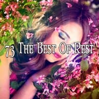 73 The Best Of Rest