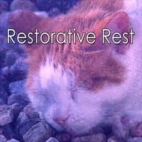 Restorative Rest