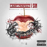 I Ain't Perfect I Sin