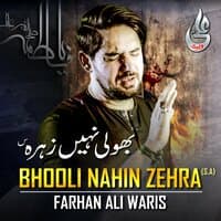 Bhooli Nahin Zehra - Single