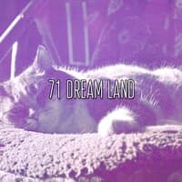 71 Dream Land