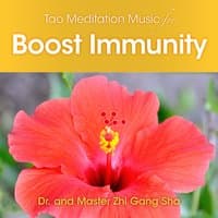 Tao Meditation Music to Boost Immunity