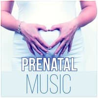 Prenatal Music - Future Mother, Meditation Music, Pregnancy Relaxation, Music for Pregnant Woman, Calming Music