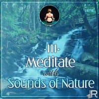 Meditate with Sounds of Nature – 111 Relaxing Tracks for Yoga Meditation, Relaxation Therapy for Massage, Reiki, Healing, Music for Deep Sleep