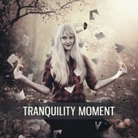 Tranquility Moment – Nature Sounds for Relaxation, Anti Stress Music, Meditation Melodies, Zen Garden, Clear Mind, Focus