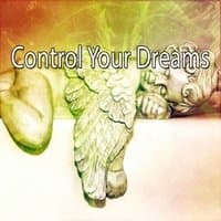 Control Your Dreams