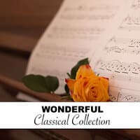 #6 Wonderful Classical Collection