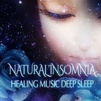 Natural Insomnia Healing Music: Deep Sleep, Sounds for Trouble Sleeping, Peaceful Slumber