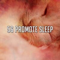 56 Promote Sleep