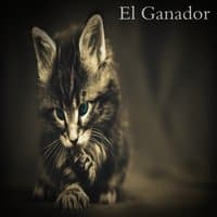 El Ganador