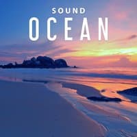 Sound Ocean - Water World, Silence Before the Storm, Echo Water, Waves on the Sea, Wet Sand