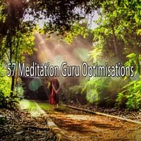 57 Meditation Guru Optimisations