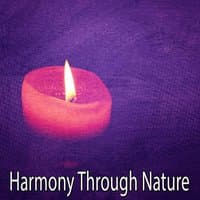 Harmony Through Nature