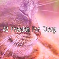 42 Freedom For Sleep