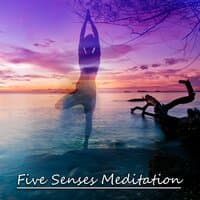 Five Senses Meditation - Peaceful Music for Deep Zen Meditation & Well Being, Body Scan Meditation, Soul Healing with Mindfulness Meditation, Yoga Poses, Buddhist Meditation, Hatha Yoga