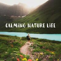 Calming Nature Life: Songs of Forest, Relaxing Time Out in Nature, Ocean Bliss, Peaceful Water