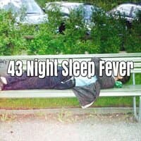 43 Night Sleep Fever