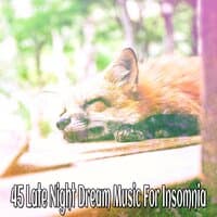 45 Late Night Dream Music For Insomnia