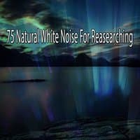 75 Natural White Noise For Reasearching